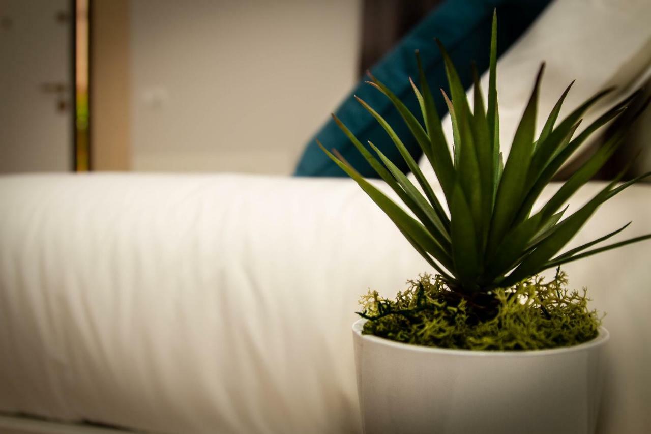 Le Del Corso Bed & Breakfast *